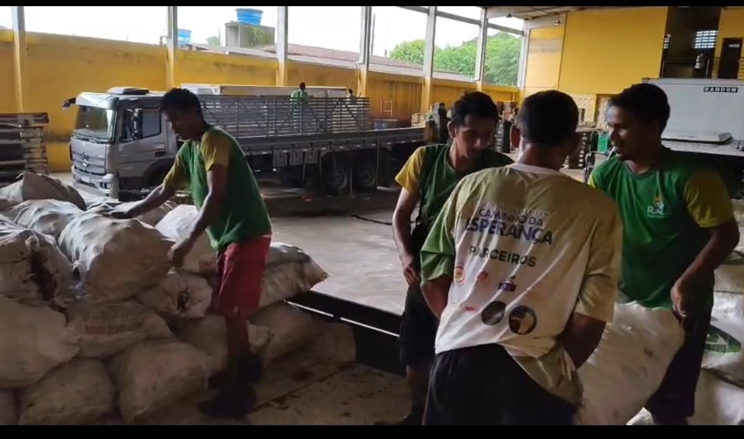 Resgate de alimentos em roçado